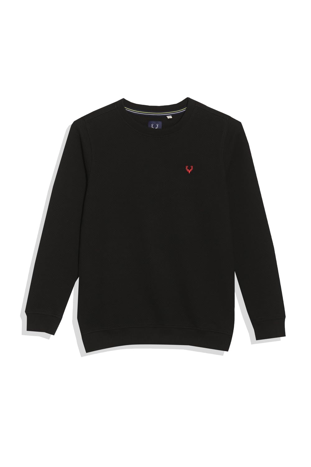 Allen Solly Boys Regular Fit Casual Full Sleeve Crew Neck T-Shirt