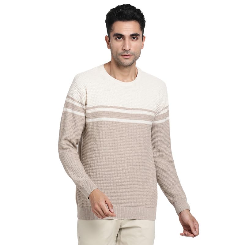 Turtle Men Knitted Beige Striped Slim Fit Casual Pullover