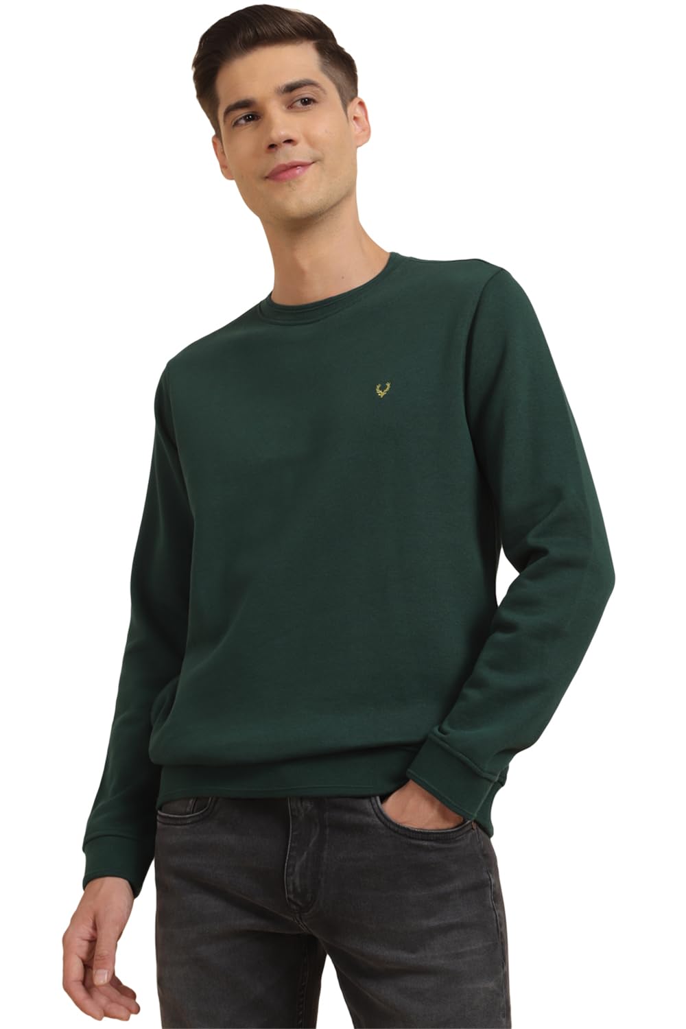 Allen Solly Men Casual Full Sleeve Crew Neck Hoodie