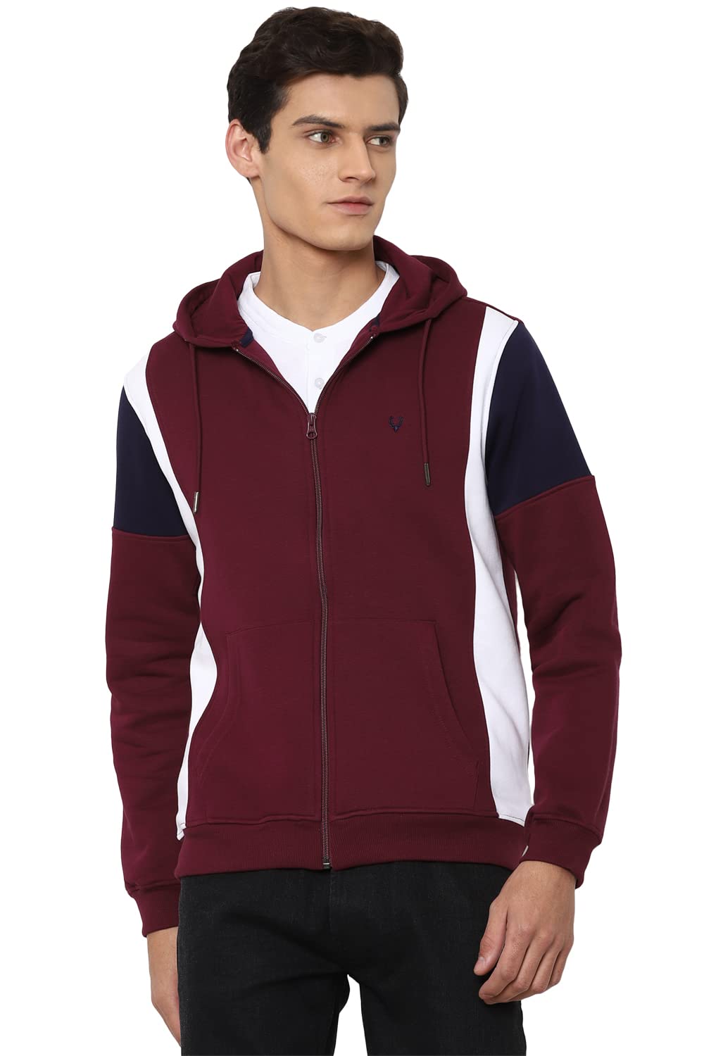 Allen Solly Men Hoodie