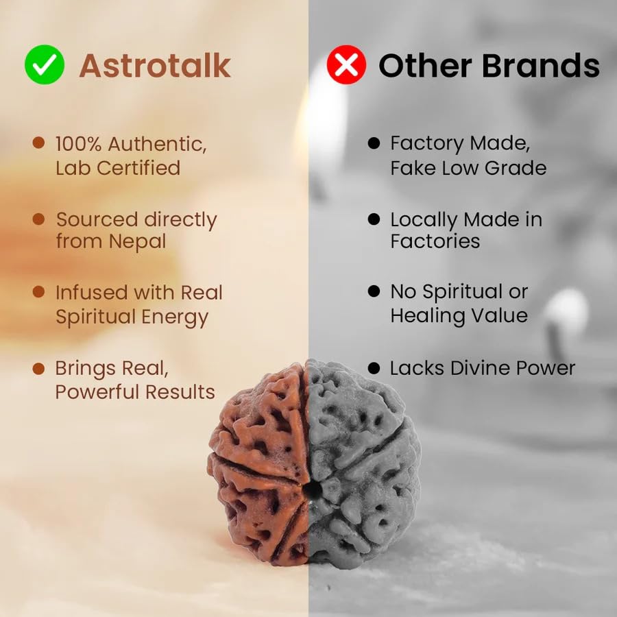 Astrotalk Nepal Origin 6 Mukhi Rudraksha | Boost Focus & Confidence | 108 Hours Energized by Top Astrologers | Mental Clarity, Willpower & Success | Sacred Rudraksha Bead for Women & Men