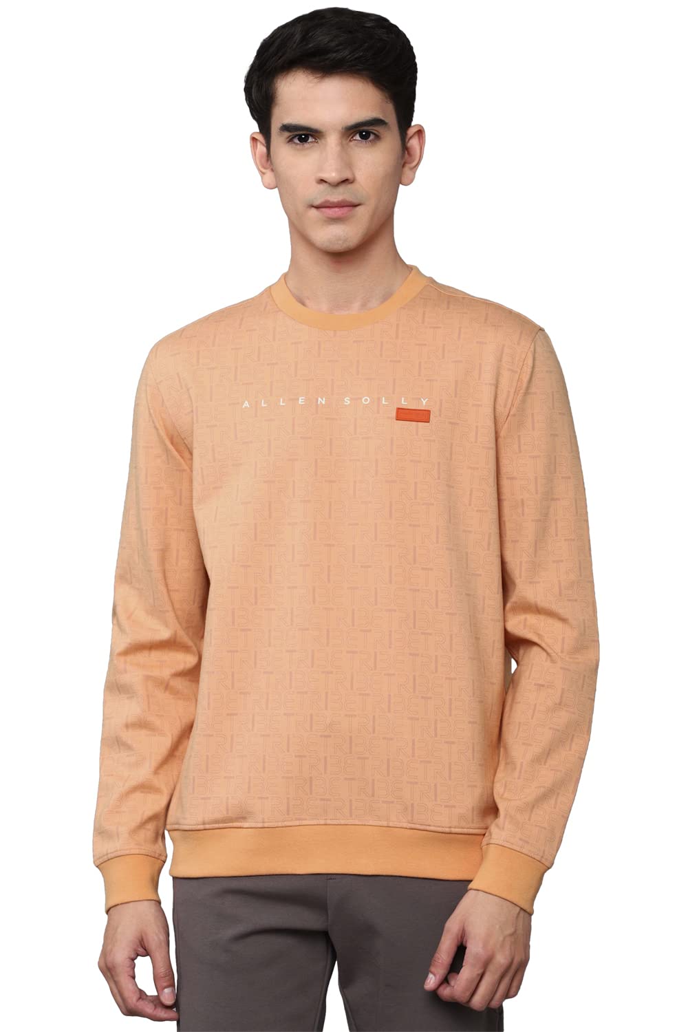Allen Solly Men Regular Fit Printed Casual Full Sleeve Crew Neck T-Shirt