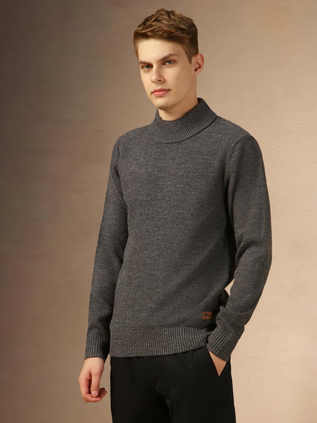 Dennis Lingo Men Grey Solid Slim Fit Full Sleeve Turtle Neck Pullover Sweater