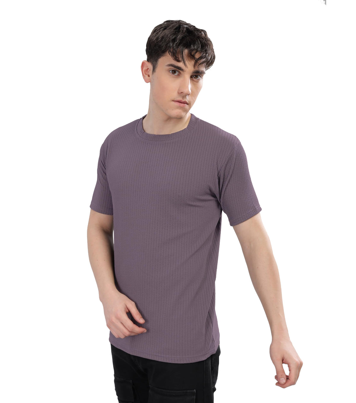 SHODOX Mens Polycotton Solid Round Neck Regular Fit Tshirt (Pack of 1) Dark Lavender