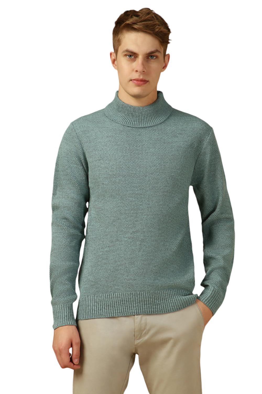 Dennis Lingo Men Purple Solid Slim Fit Full Sleeve Turtle Neck Pullover Sweater