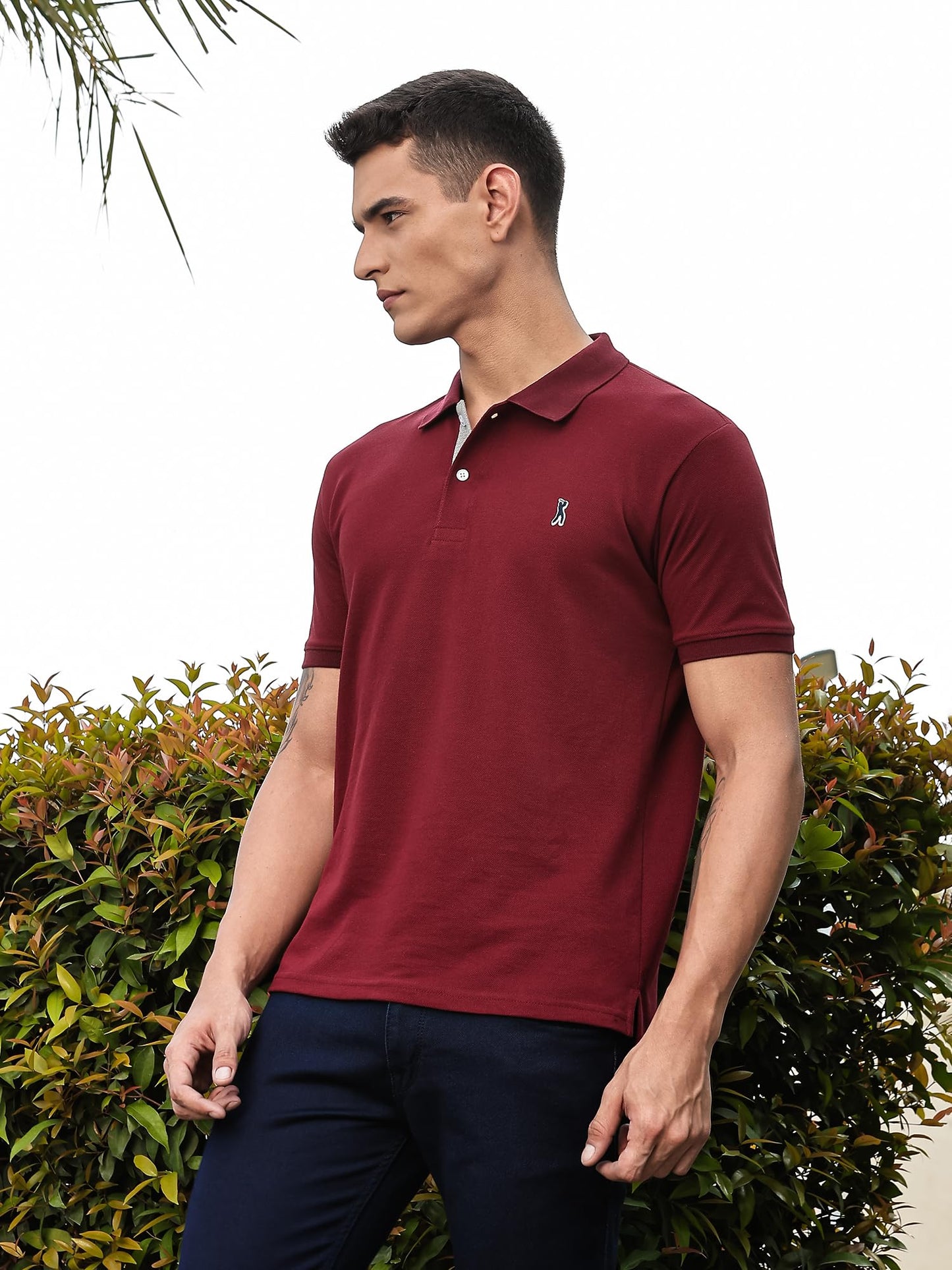 Thomas Scott Mens | Knitted | Cotton Polyester Blend | Ribbed Short Sleeve | Polo Collar | Button | Tshirt for Men (CCMPT04_Bur