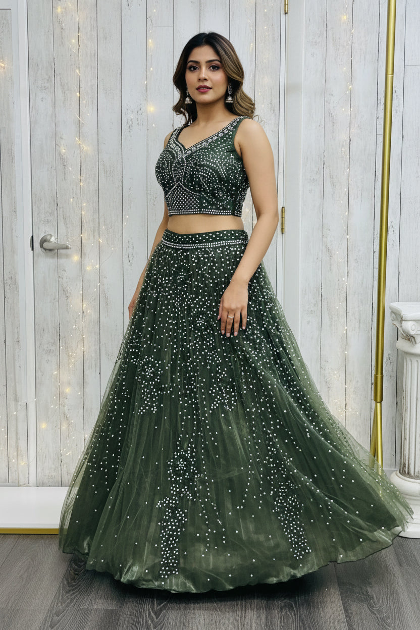 Rewa : Lehenga Choli set
