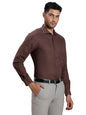 Turtle Men 100% Cotton Regular Fit Dobby Brown Formal Shirt