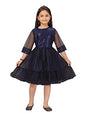 Aarika Girls Net Fit and Flare Knee-Length Dress (JN_FK-21911_Navy Blue