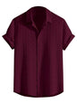 Leriya Fashion Mens Solid Regular Fit Shirt (LF-MS-6246_Maroon
