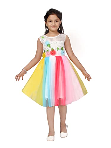 Aarika Girls Multi Colour Embellished Self Design Net Frock (6 Month-6 Years)