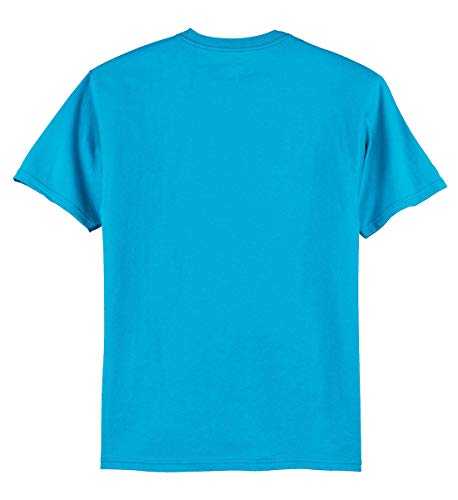 ADRO Stay Wild Design Printed T-Shirt for Men (RNR-S36-SWW-MI_Mint)