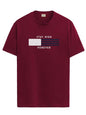 ADRO Mens Flag Printed Cotton T-Shirt_RN24-L2-FLAG-MR-XL Maroon
