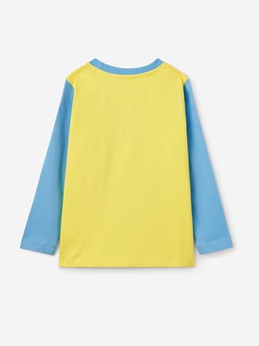 The Souled Store Official Minions : Varsity Boys Round Neck Multicolor Color Blocked Cotton Full Sleeve T-Shirts