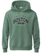 ADRO Men's Cotton Neck Hooded Sweatshirt (H24-BOST-PT-XL_Pista)