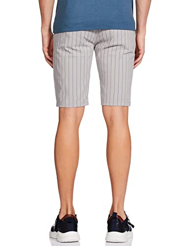 The Indian Garage Co Men Slim Fit Striped Mid-Rise Shorts