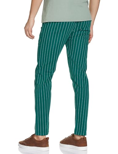 The Indian Garage Co Men Slim Fit Striped Mid-Rise Stretchable Chinos
