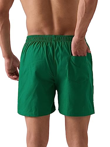 The Souled Store Official Stranger Things: Hawkins Mens And Boys Regular Fit Graphic Printed Cotton Green Color Men Boxer Shorts
