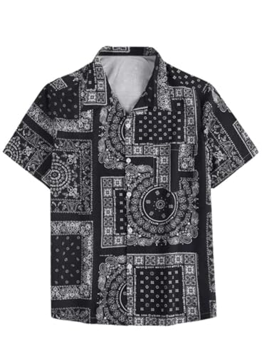 Leriya Fashion MenS Printed Regular Fit Shirt