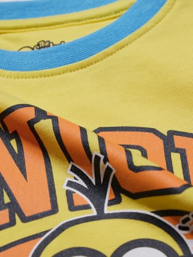 The Souled Store Official Minions : Varsity Boys Round Neck Multicolor Color Blocked Cotton Full Sleeve T-Shirts