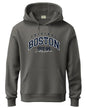 ADRO Men's Cotton Neck Hooded Sweatshirt (H24-BOST-SG_Steel Grey