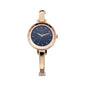 Titan Raga Quartz Analog Blue Dial Metal Strap Watch for Women-NS2575WM02