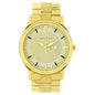 Titan Analog Gold Dial Men'S Watch Nm1650Ym04/Nn1650Ym04/Np1650Ym04