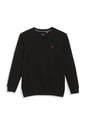 Allen Solly Boys Regular Fit Casual Full Sleeve Crew Neck T-Shirt