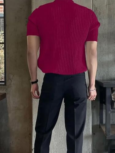 Leriya Fashion MenS Cotton Regular Fit Polo T-Shirt  Plain & Comfortable (Available In Plus Size And Combo Pack Of 2)