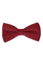 Allen Solly Men Solid Party Tie