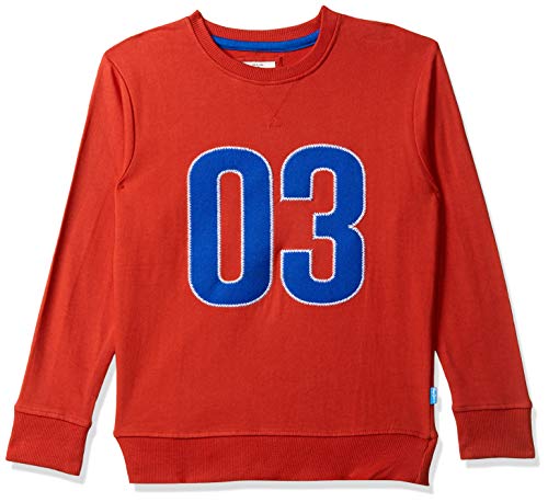 Pepe Jeans BoyS Cotton Sweatshirt (Pibt200009_Red_4)