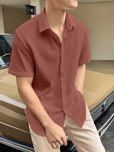 Greciilooks For Casual Stylish Polycotton Regular Formal Shirt Brown