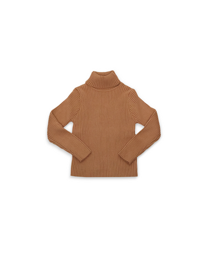The Cloud Turtleneck Sweater - Brown