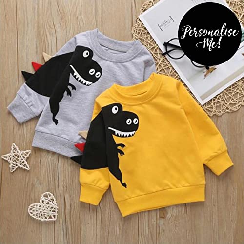 Kyda Kids 100% Cotton Boys Sweatshirt Combo | Round Neck Printed Full Sleeve Sweat Shirts For Boys | Multicolor (Pack Of 2)(Dino