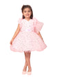 Aarika Baby-Girl's Net Fit and Flare Above The Knee Dress (New_FK-16010_Pink