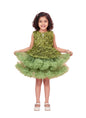 Aarika Girls Green Colour Net Solid Frock-(6-6 Years)-(Oct_Fk-12283-Green-18)