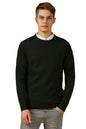 Dennis Lingo Men Green Solid Slim Fit Full Sleeve Crew Pullover Sweater