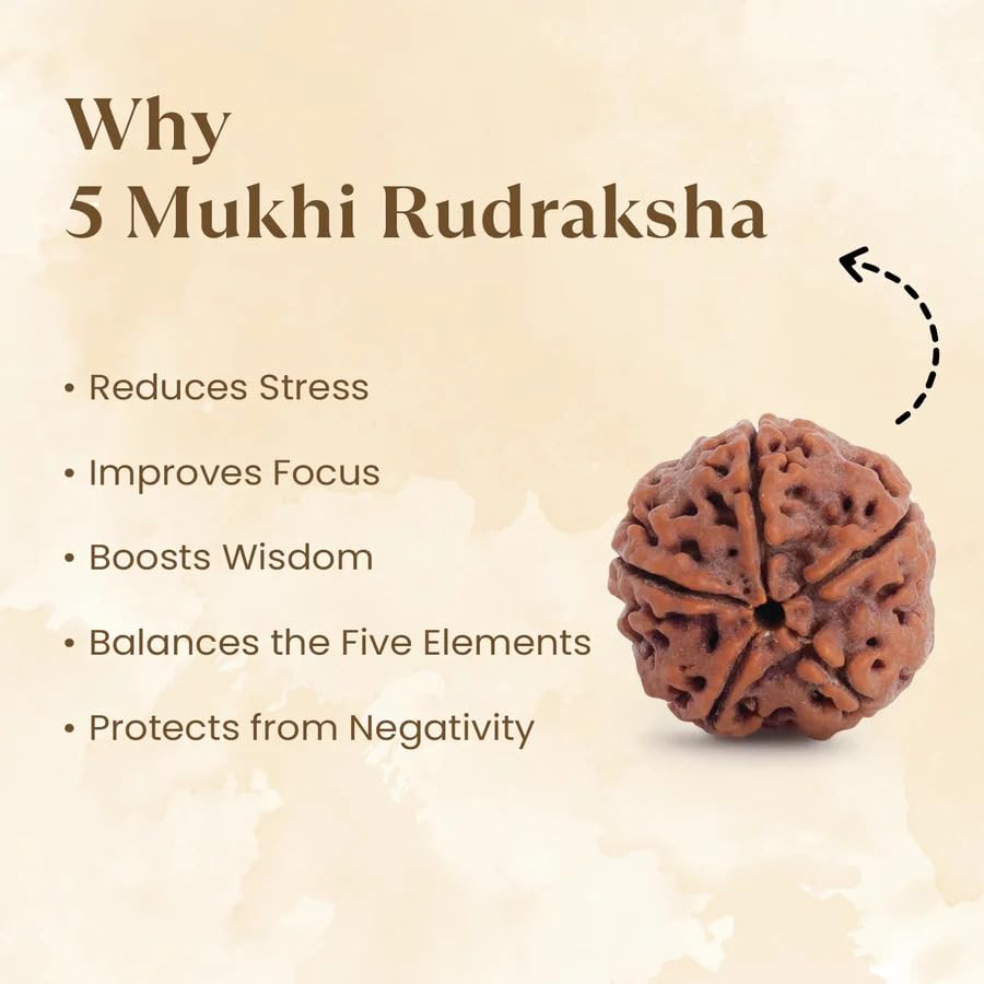 Astrotalk Nepal Origin 5 Mukhi Rudraksha | Elevate Spiritual Growth & Inner Peace | 108 Hours Energized by Top Astrologers | Clarity, Protection & Well-Being | Sacred Rudraksha Bead for Women & Men