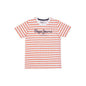 Pepe Jeans Zeo Ss Allover Printed T-Shirt, Green, 16