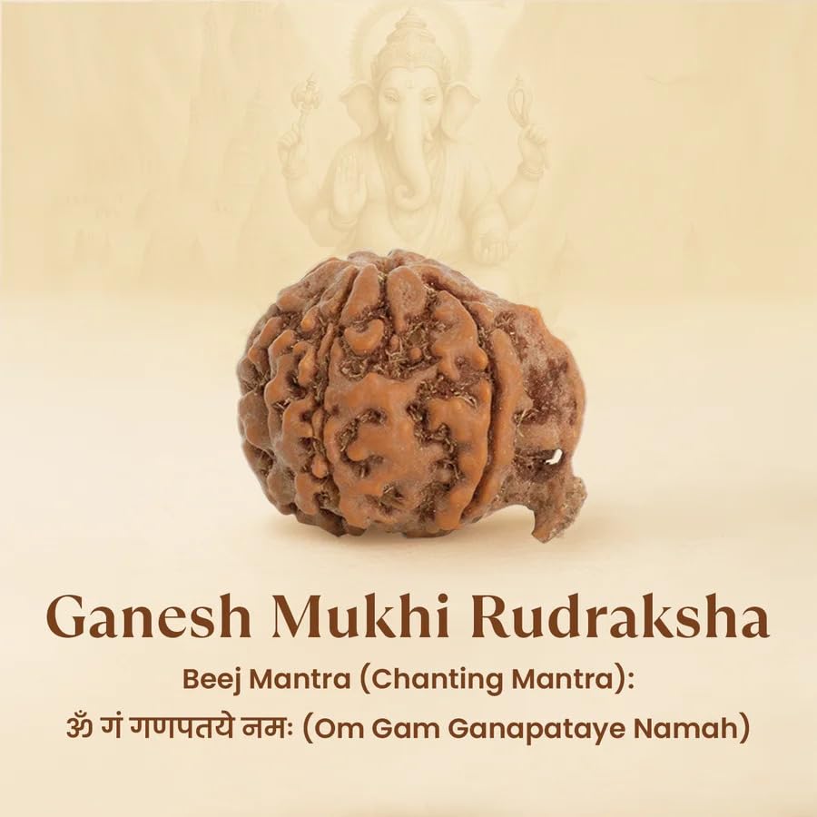 Astrotalk Ganesh Mukhi Rudraksha | Remove Obstacles & Unlock Success | 108 Hours Energized by Top Astrologers | Wisdom, Protection & Confidence | Sacred Rudraksha Bead for Women & Men