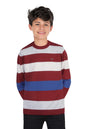 Allen Solly Boys Regular Fit Striped Sweater
