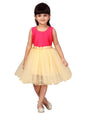 Aarika Girl's Net Fit and Flare Knee-Length Dress (FK-SHM-1505_Rani