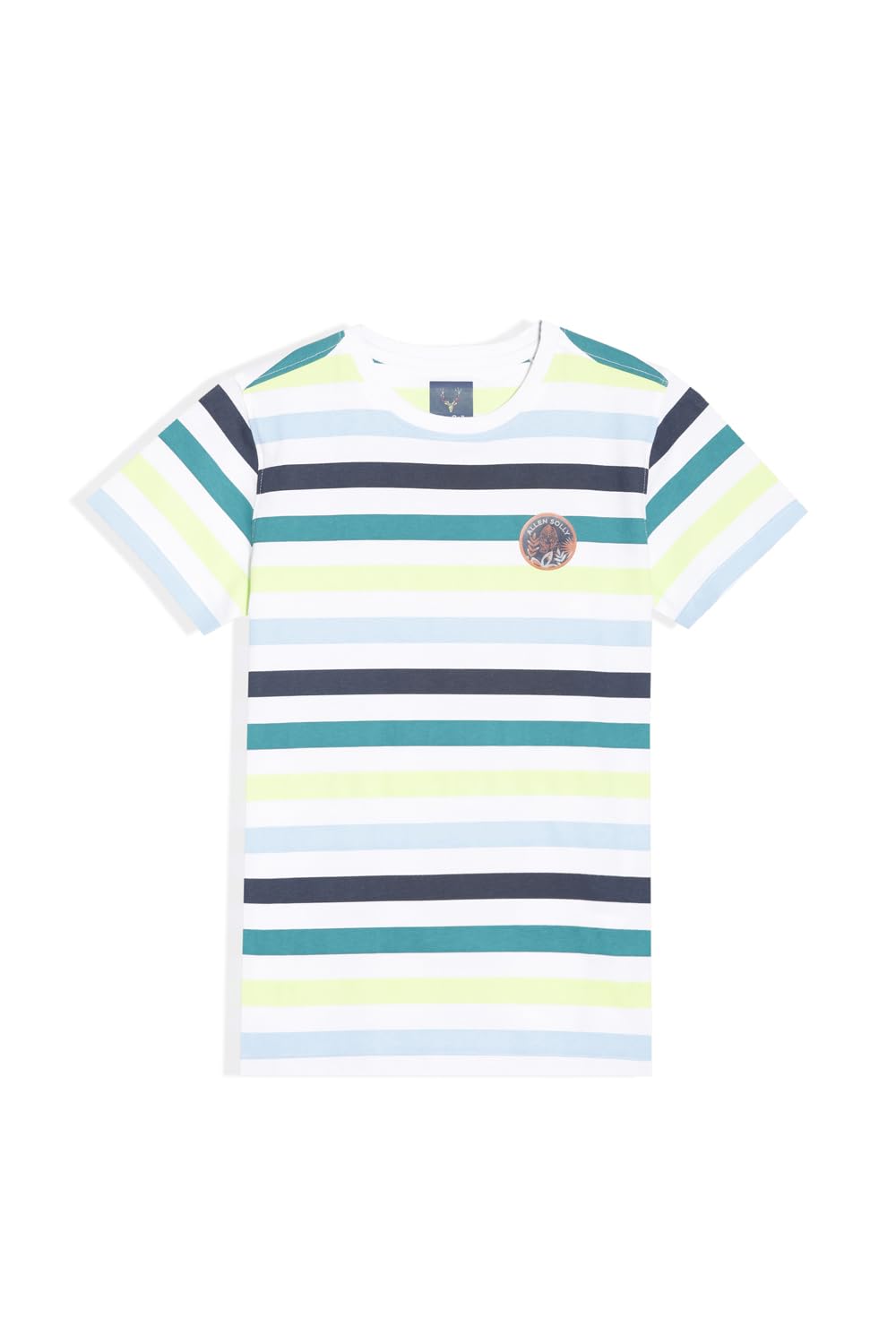 Allen Solly Boys Regular Fit Striped Casual Half Sleeve Short Sleeve T-Shirt