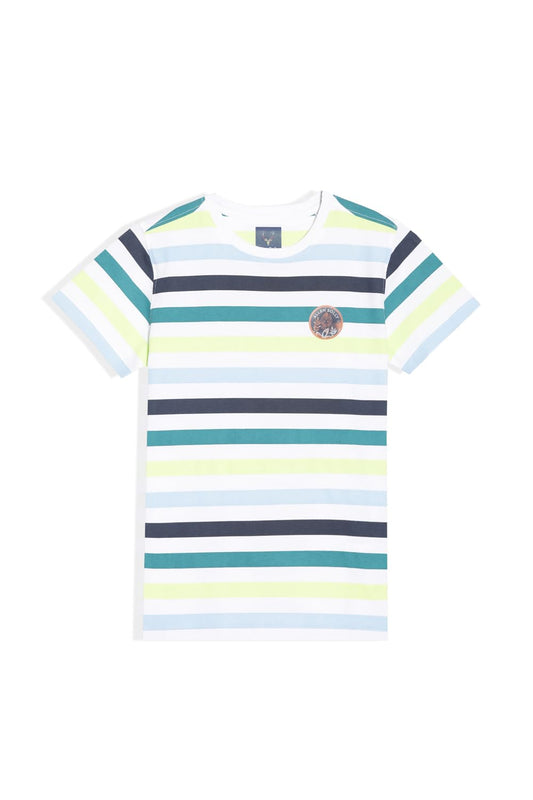 Allen Solly Boys Regular Fit Striped Casual Half Sleeve Short Sleeve T-Shirt