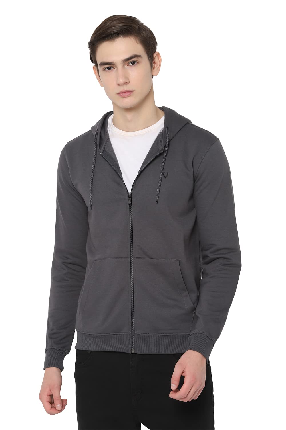 Allen Solly Men Regular Fit Casual Cotton Polyester Full Sleeve Hoodie