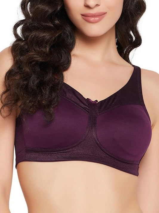 Clovia Powernet Solid Lightly Padded Full Cup Wire Free Spacer Cup Bra (BR2339R15_Purple_38B)