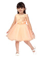 Aarika Baby GirlS A-Line Dress (Fk-24314_Peach_9-12 Months_Peach_9 Months-12 Months)