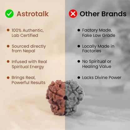 Astrotalk Nepal Origin 3 Mukhi Rudraksha | Ignite Self-Transformation & Confidence | Emotional Healing, Mental Clarity & Strength | Sacred Rudraksha Bead for Women & Men