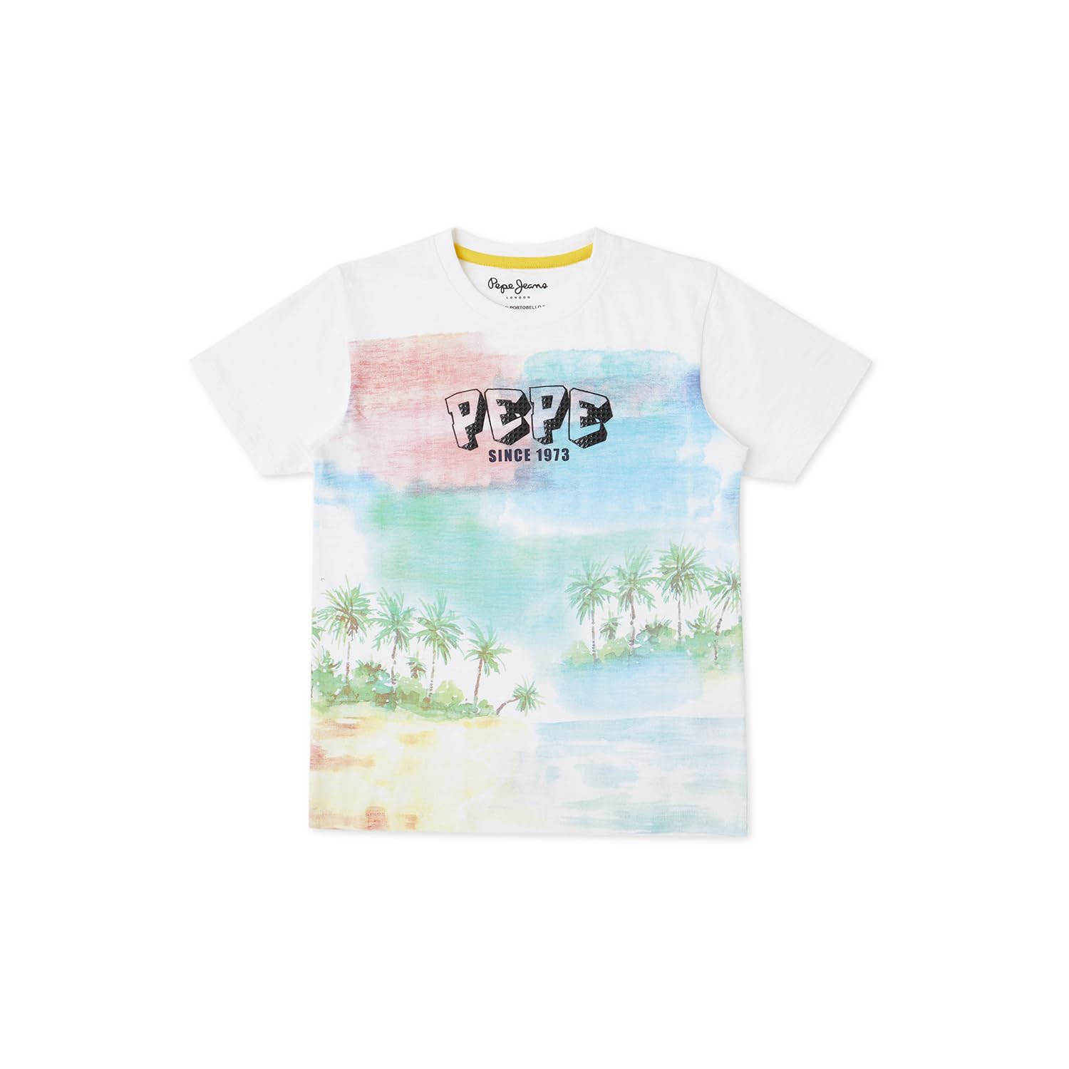 Pepe Jeans BoyS Regular Fit T-Shirt (Pb503884_Green_White
