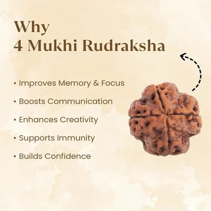Astrotalk Nepal Origin 4 Mukhi Rudraksha | Boost Creativity & Intellectual Growth | Clarity, Confidence & Self-Expression | Sacred Rudraksha Bead for Women & Men